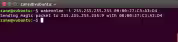 linux wakeonlan terminale