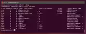 ubuntu netstat open ports