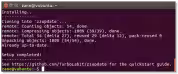 zzupdate install