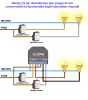 due luci