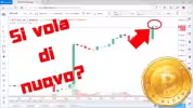 spotlight bitcoin bullish