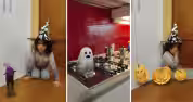 halloween turbolab
