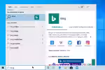 risultati web windows 10