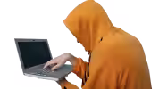 zane pirata