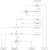 diagramma