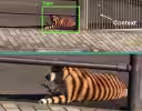 ai-tiger