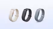 Google Fitbit Air (3)