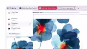 vivaldi 8.0 (1)