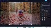 windows-11-photos