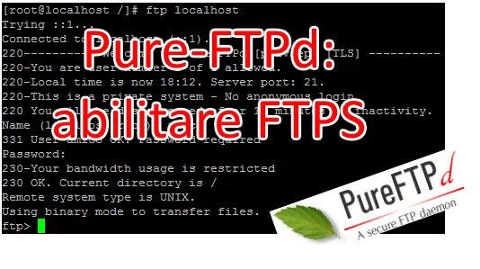Immagine 8 pure-ftpd ftps spotlight Immagine 8 pure-ftpd ftps spotlight