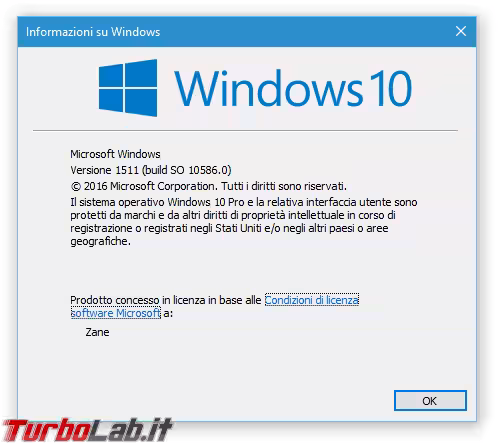 Immagine 2 Informazioni su Windows 10.1