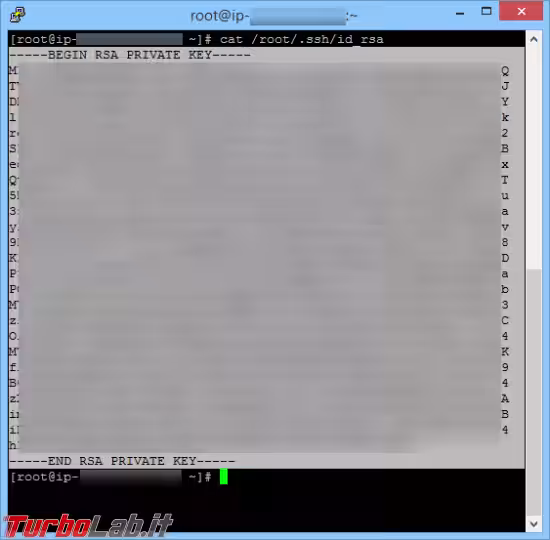 Immagine 3 putty cat id_rs