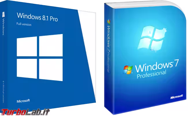 Immagine 2 windows professional