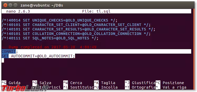 Immagine 3 autocommit_end