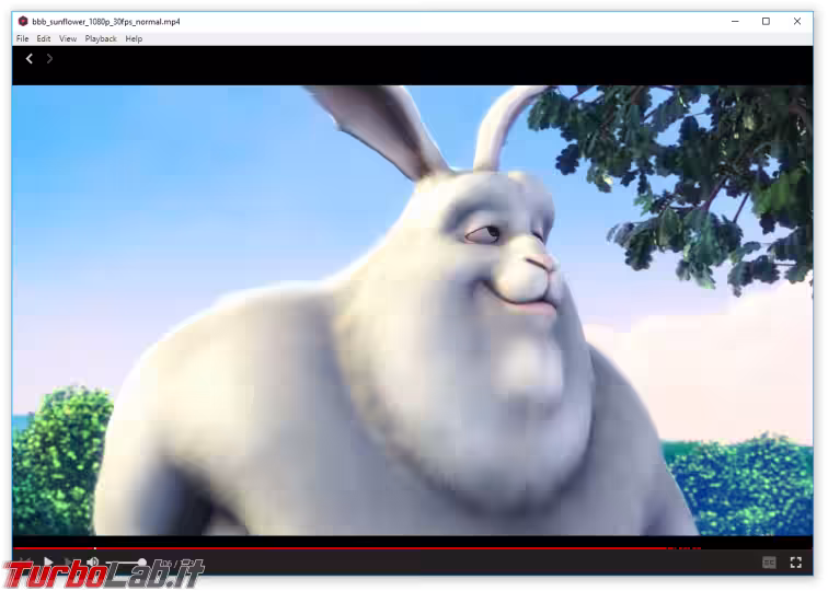Immagine 2 bbb_sunflower_1080p_30fps_normal.mp4_1