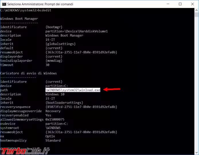 Immagine 6 bios6