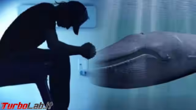 Immagine 1 blue-whal