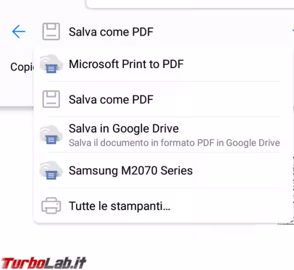 Immagine 7 cp7