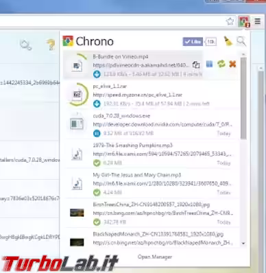 Immagine 7 download manager chrome 2