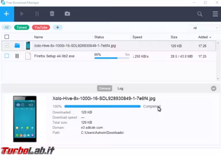 Immagine 8 free download manager