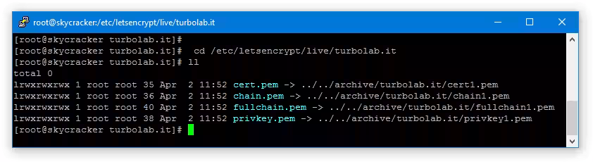 Immagine 8 letsencrypt files