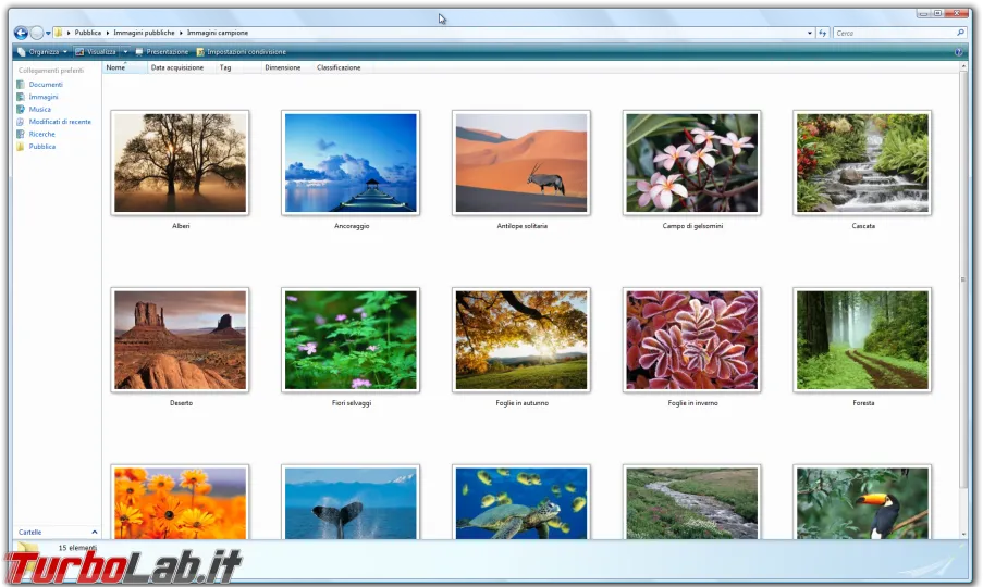 Immagine 21 windows vista explorer immagini molto grand Immagine 21 windows vista explorer immagini molto grand