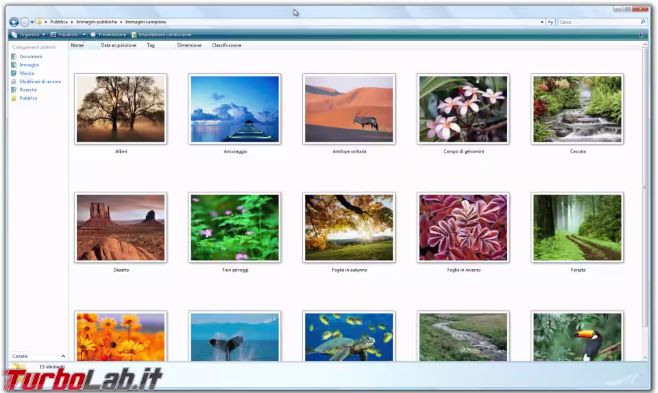 Immagine 21 windows vista explorer immagini molto grande Immagine 21 windows vista explorer immagini molto grande