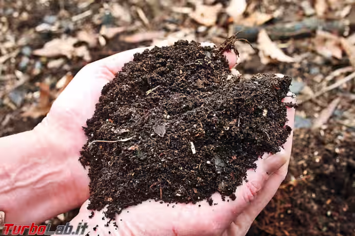 Immagine 1 Annotazione 2019-08-08 082459 Immagine 1 Annotazione 2019-08-08 082459