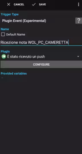 Immagine 21 Fig. 21