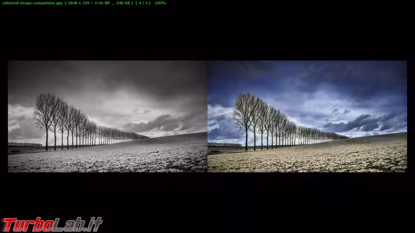 Immagine 5 foto5