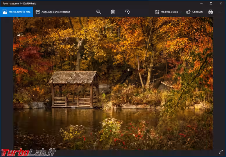 Immagine 1 heic file windows 10