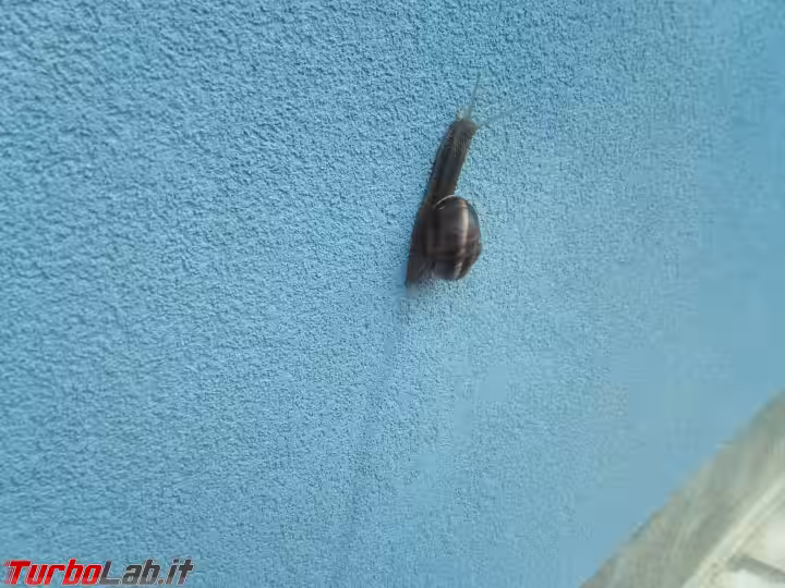 Immagine 17 IMG_20180916_082758
