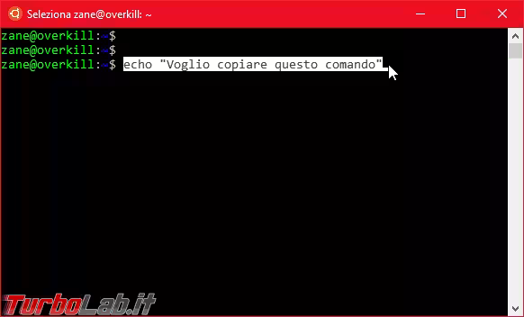 Immagine 7 Mobile_zShot_1536396455