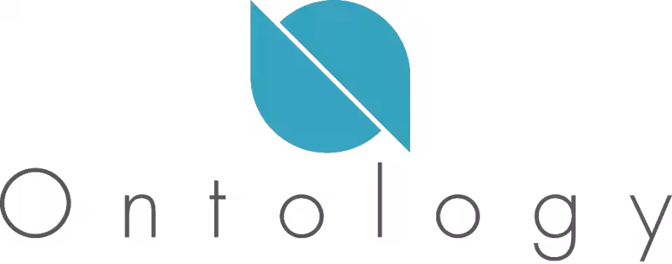 Immagine 16 ontology coi