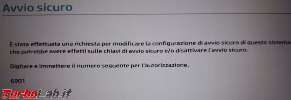 Immagine 8 raccolte.8