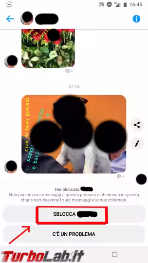 Immagine 7 Screenshot_20190801-164547