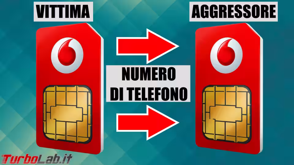 Immagine 2 sim port illustrazio