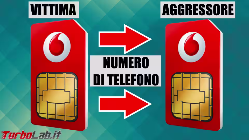Immagine 2 sim port illustrazione Immagine 2 sim port illustrazione