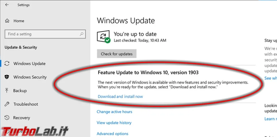 Immagine 4 upgrade build windows 10