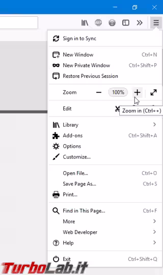 Immagine 3 zoom caratteri firefox