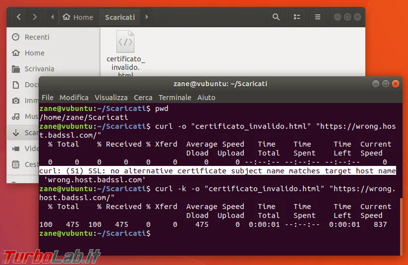 Immagine 15 zShot_1509295036