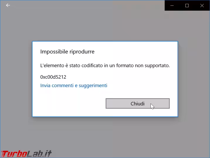 Immagine 8 zShotVM_1549217172