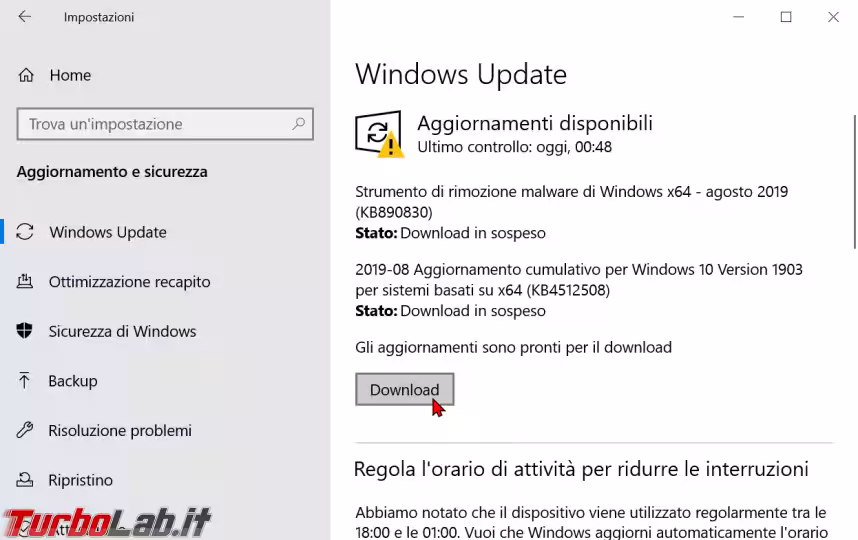 Immagine 2 zShotVM_1566082319