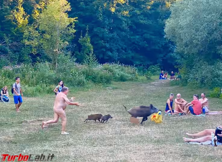 Immagine 1 116877271_10207757966023313_321285946944817643_