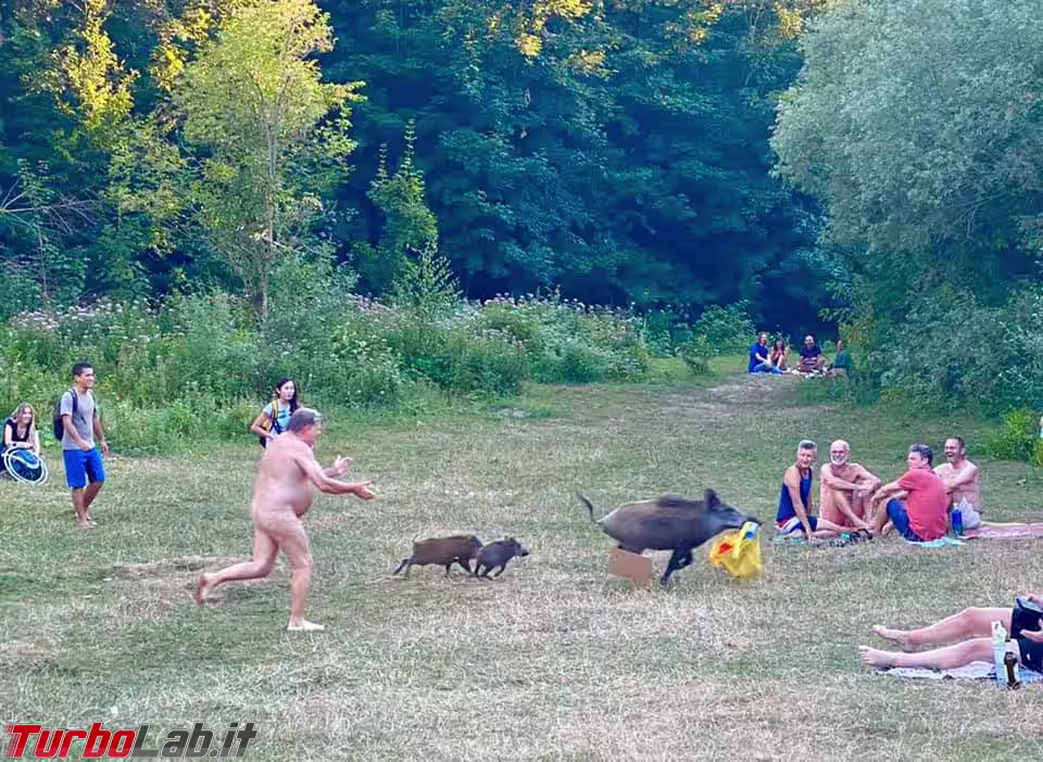 Immagine 1 116877271_10207757966023313_321285946944817643_n