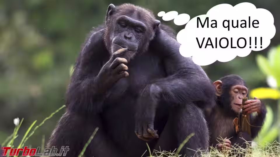 Immagine 1 1etaga Immagine 1 1etaga