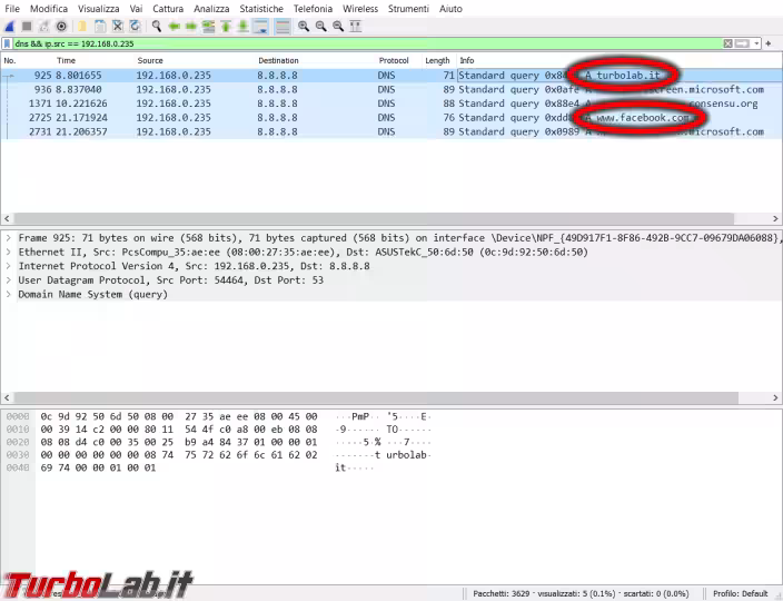 Immagine 2 dns in chiaro