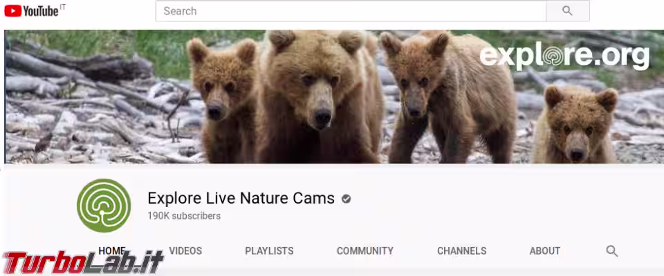 Immagine 12 ExploreOrgYouTube Immagine 12 ExploreOrgYouTube