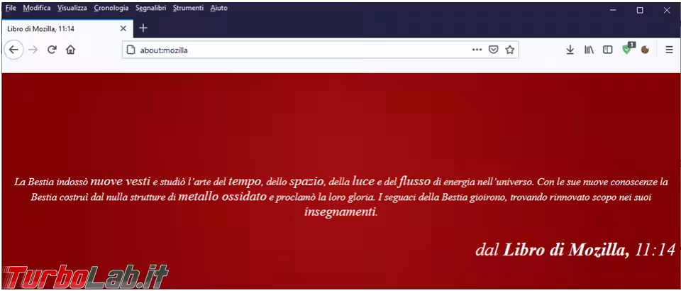 Immagine 10 foto10