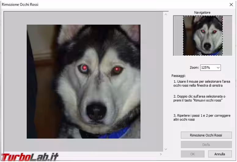 Immagine 2 foto2